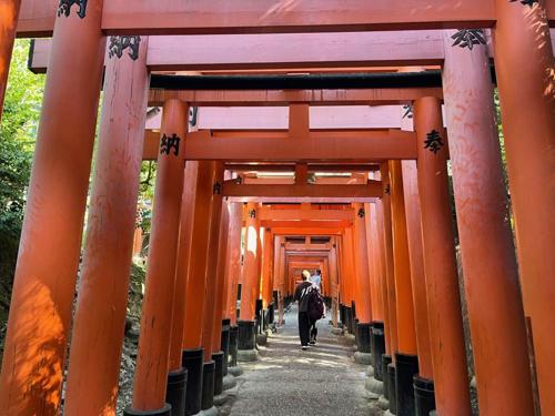 千本鸟居 千本鸟居